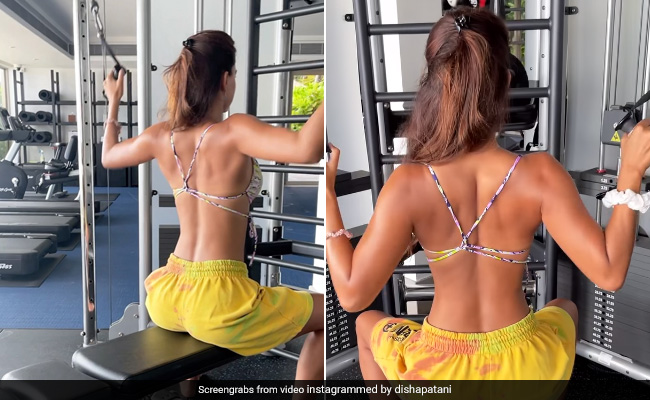 Can You Identify This Super Fit Star Busy In The Gym?