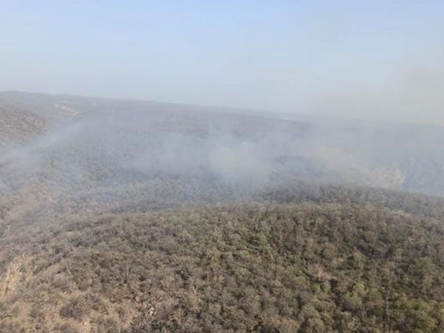Video: Huge Fire In Sariska Tiger Reserve, Air Force Choppers Fight Blaze