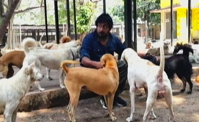 Tamil Nadu Grants 20 Crores For Animal Care, Links It To Social Justice