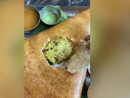 Watch: Food Blogger Shows The Right Way To Eat Dosa; Internet Finds It Unacceptable