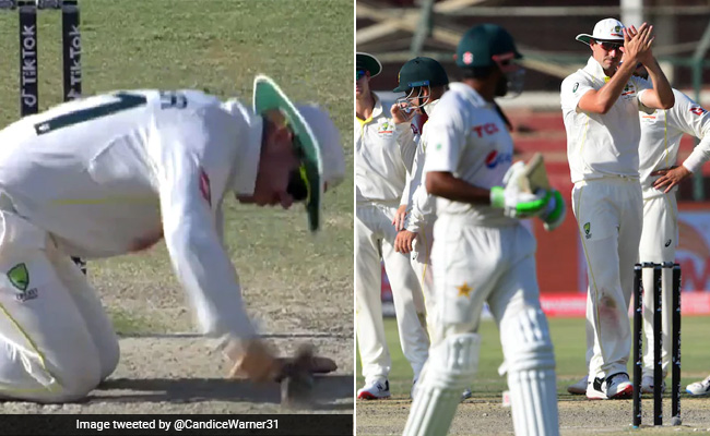 बाबर को आउट करने के लिए वार्नर ने ठोकी पिच, फिर पवेलियन भेजते हुए बजाई ताली, देखिए VIDEO