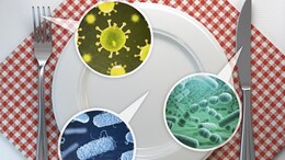 These 5 Everyday Foods Could Be Secret Culprits Of Food Poisoning