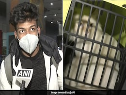 यूक्रेन से अपनी बिल्लियों के साथ वापस लौटा भारतीय छात्र, भारतीय दूतावास ने की मदद यूक्रेन से अपनी बिल्लियों के साथ वापस लौटा भारतीय छात्र, भारतीय दूतावास ने की मदद