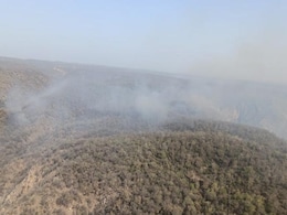 Fire In Forest Area Of Sariska Tiger Reserve Under Control: Authorities Fire In Forest Area Of Sariska Tiger Reserve Under Control: Authorities