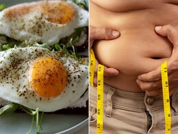 Weight Loss: अंडे खाने से तेजी से घट सकता है वजन, इन 4 चीजों का Egg के साथ कोंबिनेशन है बेस्ट  Weight Loss: अंडे खाने से तेजी से घट सकता है वजन, इन 4 चीजों का Egg के साथ कोंबिनेशन है बेस्ट