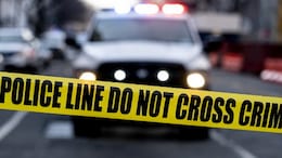 Indian-Origin Motel Manager Shot Dead. He Had Asked A Man, 'Are You Okay?'