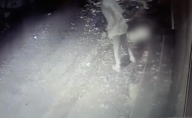 On Camera, SUV Rams Cart Vendor In Chhattisgarh, Killing Him On Spot