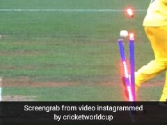 Watch: Alyssa Healy's Incredible Direct Hit Against Windies In Women's WC