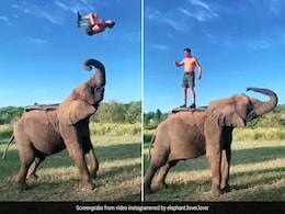 सोशल मीडिया पर यह शख्स बन चुका है असली दुनिया का 'बाहुबली', देखें VIDEO सोशल मीडिया पर यह शख्स बन चुका है असली दुनिया का 'बाहुबली', देखें VIDEO
