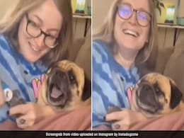 ड्रामेबाज तो बहुत देखें होंगे, लेकिन इस  Doggy ने सबको पीछे छोड़ा, मालकिन भी नहीं रोक पाईं अपनी हंसी, देखिए VIDEO ड्रामेबाज तो बहुत देखें होंगे, लेकिन इस  Doggy ने सबको पीछे छोड़ा, मालकिन भी नहीं रोक पाईं अपनी हंसी, देखिए VIDEO