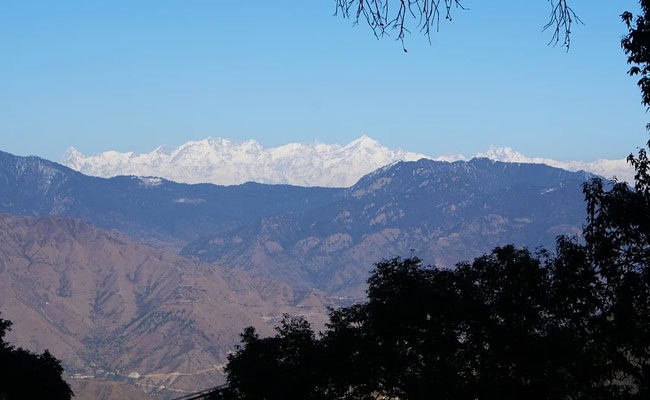 BJP Crosses Halfway Mark In Uttarakhand: Early Leads