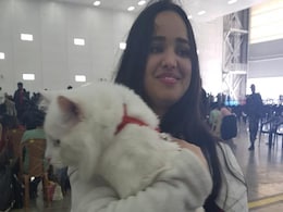 "Like Family, Can't Leave Behind": Indian Student Brings Her Cat From Ukraine "Like Family, Can't Leave Behind": Indian Student Brings Her Cat From Ukraine