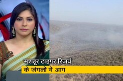 5 की बात: राजस्थान के मशहूर सरिस्का टाइगर रिजर्व के जंगलों में लगी भीषण आग 5 की बात: राजस्थान के मशहूर सरिस्का टाइगर रिजर्व के जंगलों में लगी भीषण आग