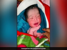 पैदा होते ही बच्चा करने लगा ऐसी हरकत, लोग बोले- आ गया पुष्पा राज का बेटा कमलराज - देखें Video पैदा होते ही बच्चा करने लगा ऐसी हरकत, लोग बोले- आ गया पुष्पा राज का बेटा कमलराज - देखें Video