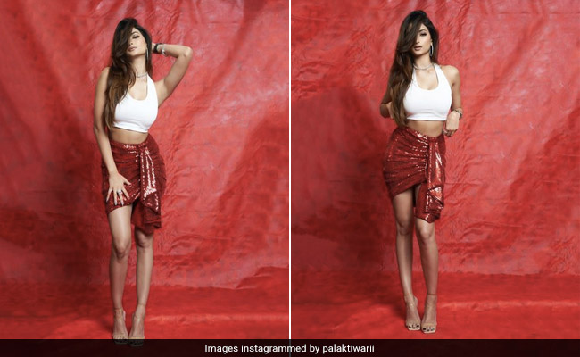 Sorry In Advance If Palak Tiwari's Sequinned Red Skirt Stops Traffic Along The Way