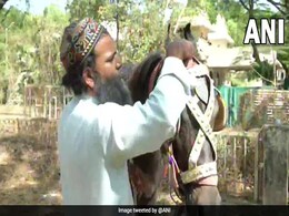 महंगे पेट्रोल से परेशान होकर शख्स ने घोड़ा खरीदा, इसी पर करता है सवारी, देखें वायरल वीडियो महंगे पेट्रोल से परेशान होकर शख्स ने घोड़ा खरीदा, इसी पर करता है सवारी, देखें वायरल वीडियो