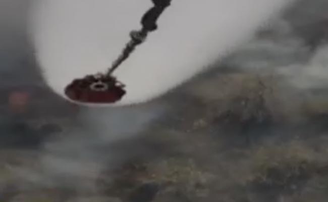 Massive Fire At Sariska Tiger Reserve In Rajasthan: 5 Facts