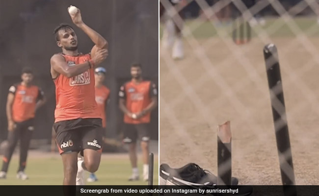 हैदराबाद के लिए 'विकेटतोड़ गेंदबाजी' कर रहे हैं टी नटराजन, यकीन नहीं होता तो देख लें यह VIDEO