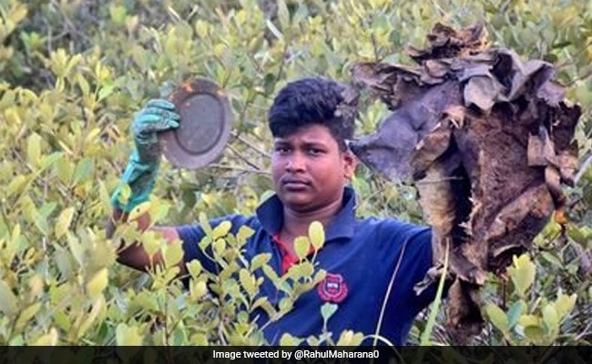 पीएम मोदी ने प्लास्टिक कचरा साफ करने के लिए की ओडिशा के युवक की तारीफ