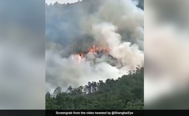 China Plane Crashes With 132 On Board, No Sign Of Survivors