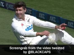 Watch: New Zealand Cricketer's "Simply Outrageous Catch" vs South Africa