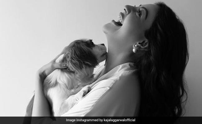 "Not Wanting Pets To Loving Dearest Mia": Writes Nisha As Kajal Aggarwal Poses With Her Pet