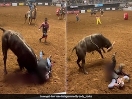 बेटे को बचाने के लिए पिता ने मुश्किल में डाली खुद की जान, गुस्साए सांड के सामने लेट गया और फिर... बेटे को बचाने के लिए पिता ने मुश्किल में डाली खुद की जान, गुस्साए सांड के सामने लेट गया और फिर...