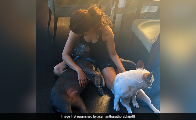 Samantha Ruth Prabhu's Self-Assessment: "The Annoying Kind I See Memes About"