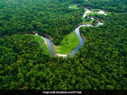 Amazon के घने जंगलों में एक महीने बाद मिले भूखे-प्यासे 2 बच्चे, कहानी जानकर हो जाएंगे भावुक Amazon के घने जंगलों में एक महीने बाद मिले भूखे-प्यासे 2 बच्चे, कहानी जानकर हो जाएंगे भावुक