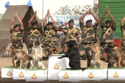 Border Force Organises Dog Show on 'Azadi Ka Amrit Mahotsav' In Madhya Pradesh Border Force Organises Dog Show on 'Azadi Ka Amrit Mahotsav' In Madhya Pradesh