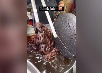 What Is Black Jalebi? All You Need To Know About This Unique Sweet From Old Delhi What Is Black Jalebi? All You Need To Know About This Unique Sweet From Old Delhi