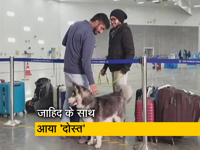 यूक्रेन से अपने 'चार पैर वाले दोस्‍त' के साथ भारत लौटे जाहिद, इसलिए नहीं दिया था पहले नाम