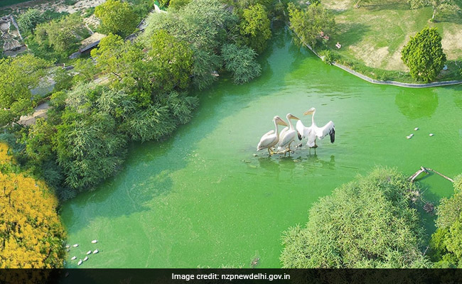 Delhi Zoo Reopens, Tickets Now Only Available Online; Sold Out Overnight