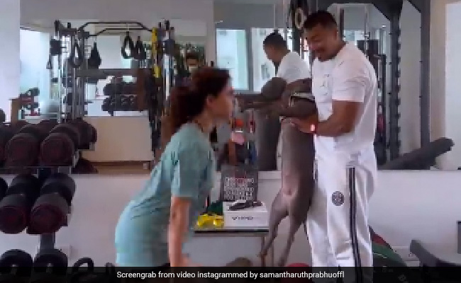 Just A Video Of Samantha Ruth Prabhu Working Out, With Pet Pooch Sasha By Her Side