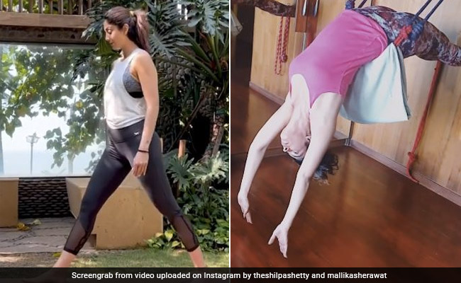रिवील हुआ Shilpa Shetty और Mallika Sherawat की फिटनेस का सीक्रेट, बस एक रस्सी और आसन से ऐसे मेंटेन करती हैं फिगर