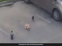 कौए ने बिल्ली को पीछे से मारी चोंच, खाना खाने के लिए किया कुछ ऐसा, Video शेयर कर आनंद महिंद्रा ने दी ये सीख कौए ने बिल्ली को पीछे से मारी चोंच, खाना खाने के लिए किया कुछ ऐसा, Video शेयर कर आनंद महिंद्रा ने दी ये सीख