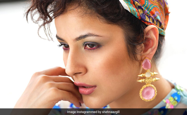 Gorgeous! Shehnaaz Gill Gives "Retro Vibes" In Dabboo Ratnani's Pictures