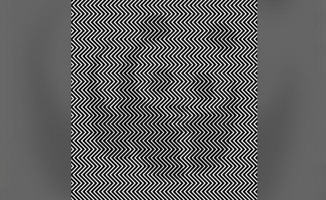 अगर आप हैं जानकार तो इस तस्वीर में खोजिए क्यूट जानवर, 7 सेकंड में खोज कर रिकॉर्ड बनाइए