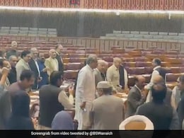 पाकिस्तानच्या संसदेत होणार मांजरं तैनात, बजेटही निश्चित! कारण काय? पाकिस्तानच्या संसदेत होणार मांजरं तैनात, बजेटही निश्चित! कारण काय?