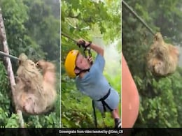 जंगल में लगा जाम ! बच्चे के सामने जिपलाइन में आ गया अजीबोगरीब जानवर, VIDEO हो रहा वायरल जंगल में लगा जाम ! बच्चे के सामने जिपलाइन में आ गया अजीबोगरीब जानवर, VIDEO हो रहा वायरल