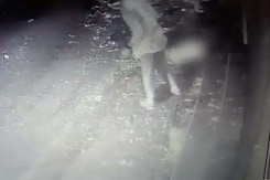 On Camera, SUV Rams Cart Vendor In Chhattisgarh, Killing Him On Spot On Camera, SUV Rams Cart Vendor In Chhattisgarh, Killing Him On Spot