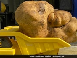 New Zealand Couples Grows Giant Potato; Guinness World Records Says Its "Not A Potato"