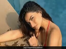 वीकेंड पर पूल में एन्जॉय करती नजर आईं पलक तिवारी, फेवरेट फूड का भी लिया मजा वीकेंड पर पूल में एन्जॉय करती नजर आईं पलक तिवारी, फेवरेट फूड का भी लिया मजा
