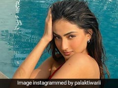 One Simply Can't Miss Palak Tiwari's Dip In The Pool In A Red Swimsuit