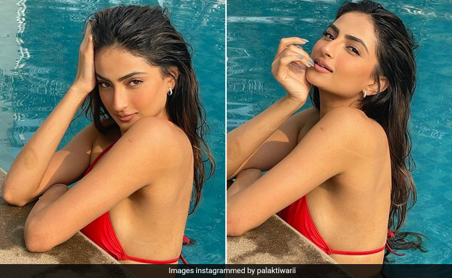 One Simply Can't Miss Palak Tiwari's Dip In The Pool In Her Chic Red Swimsuit