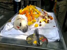 बॉम्ब डिटेक्ट करने वाले डॉग Simba को दी गई अंतिम विदाई, ये थी उसके जीवन से जुड़ी 7 दिलचस्प बातें  बॉम्ब डिटेक्ट करने वाले डॉग Simba को दी गई अंतिम विदाई, ये थी उसके जीवन से जुड़ी 7 दिलचस्प बातें