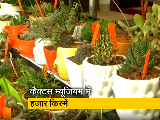 तमिलनाडु की शिक्षिका चला रहीं पहला कैक्‍टस म्‍यूजियम, एक हजार से ज्‍यादा किस्‍में मौजूद
