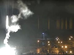 Russia's Power Plant Grab Risked Nuclear Disaster, Says Ukraine