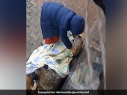 कुत्तों को लग रही थी ठंड, छोटे बच्चे ने आकर ओढ़ा दी चादर, लोगों के दिल को छू गया Video कुत्तों को लग रही थी ठंड, छोटे बच्चे ने आकर ओढ़ा दी चादर, लोगों के दिल को छू गया Video