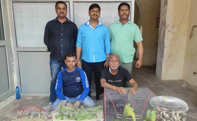 विश्व गौरैया दिवस पर अन्तर राज्यीय स्तर के 2 वन्य जीव तस्कर गिरफ्तार,  206 तोते, 18 मुनिया बरामद 